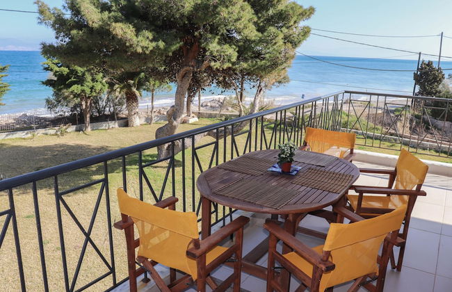 Punda 4 Seasons - Foto 29