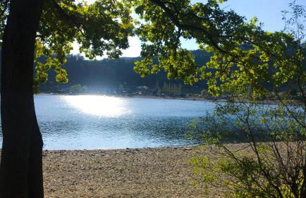 Schlossberg Apartments & Garten in der Natur & unweit vom "Thüringer Meer" - Foto 30