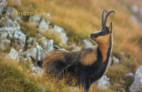 Characteristic restored farmhouse with 360 degree views - Photo 59