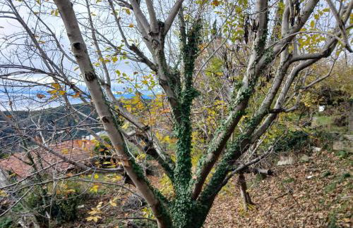 Mountain and Sea view - Foto 40