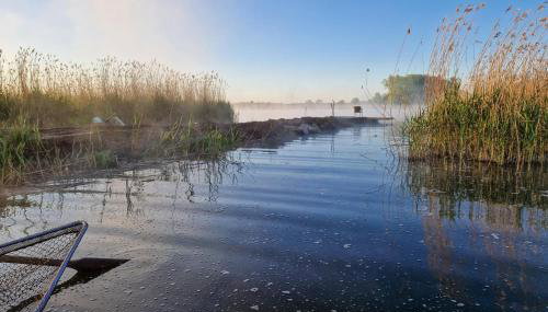 Cozy Home In Stara Dobrzyca With Wifi - Foto 5