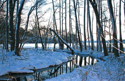 Bungalow am See mit Ruderboot in Klein Labenz - Foto 48