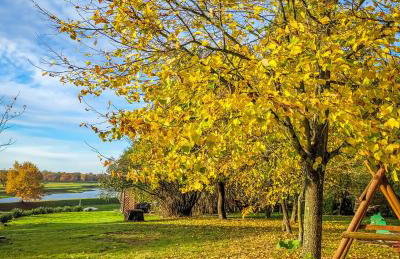 Agroturystyka Nad Wartą - Foto 55