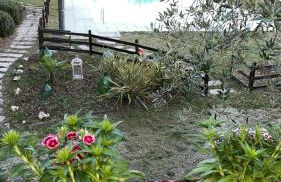 Agriturismo Al Dugale - Foto 19