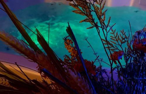 Frantoro - alloggio turistico - - Foto 36