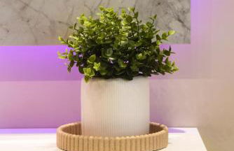 CasaBianca,Passoscuro,Palidoro,BambinGesú - Foto 29