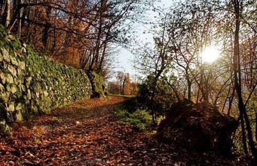 ORIGINI Terrazza panoramica in Valcamonica - Foto 7