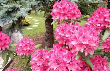 Kuća za odmor Family Fužine - Foto 19