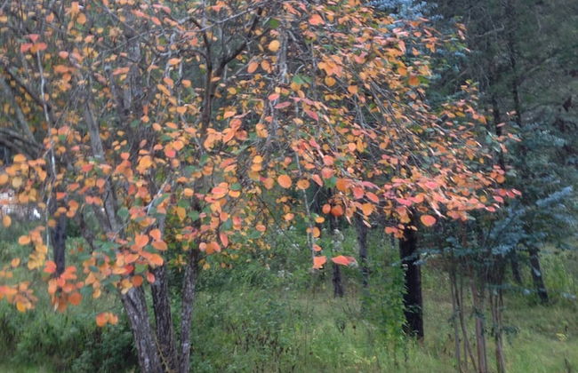 Apartment In San Cristobal De Las Casas, Wifi - Foto 14