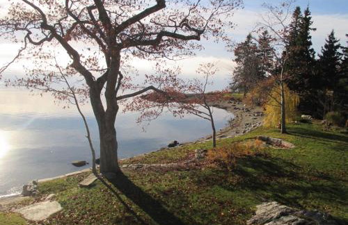 Acadia Ocean Front Garden Cottages - Foto 75