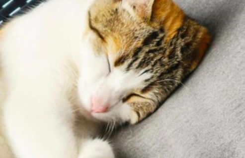 Villa con increíbles vistas al océano y la Gomera - Foto 7