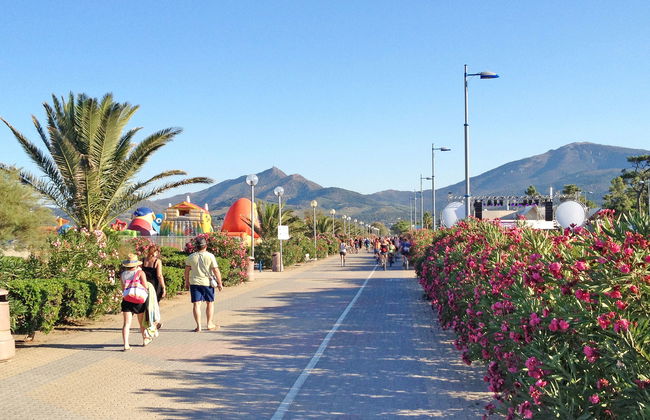 Les Pins Parasols - Foto 21