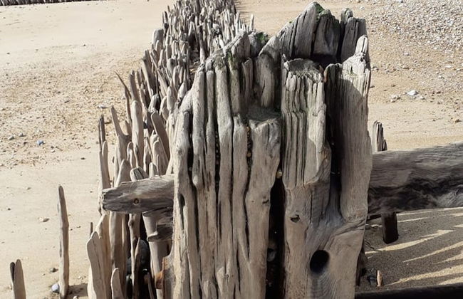 The Crabshack Cottage Normans Bay Pevensey - Foto 61