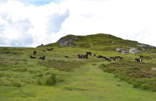 Bagtor Hayloft - Foto 13