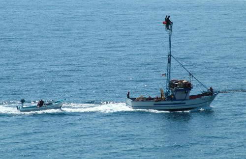 Appartamento Ancora - Foto 15