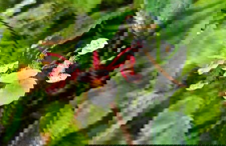 Senderismo por las Cascadas Escondidas - Foto 3