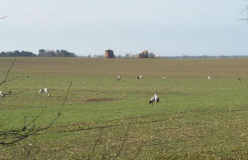 Holiday Home - Uns lütt Hüsung by Interhome - Foto 14