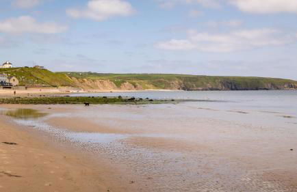 Plas Newydd with Swimming Pool, Fire Pit, and Log Fires - Photo 72