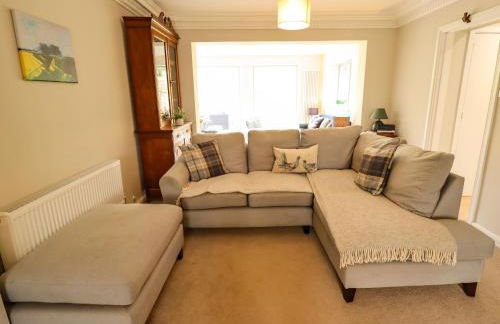 Natterjacks - Foto 21