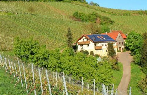 Ferienwohnung Kraft - Foto 7