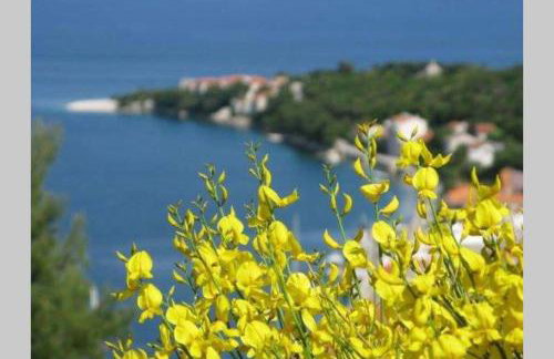 SEAVIEW apartment SPARKLE ISKRA - Povlja, Brač - Photo 41