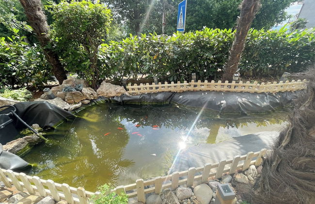 Apartman Oaza - Foto 25