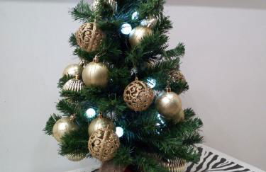 Gelsomino 74 - Photo 6