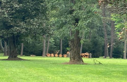 High Meadows Estate - Foto 50