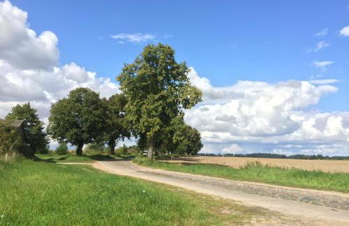 Ferienhaus Biene - Photo 65