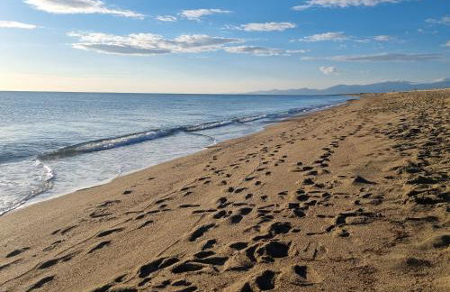 Villa atypique bord de plage méditerranée label architecture contemporaine remarquable - Foto 24