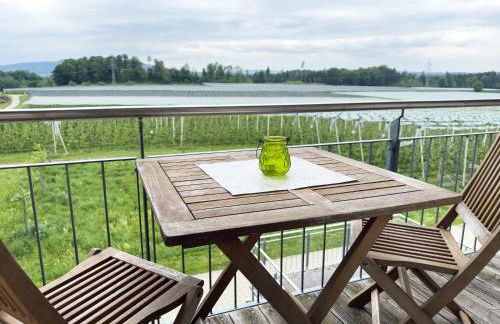 Biohof Stotz - Foto 26