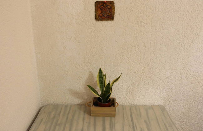 Room in House - Una Joya Para Dormir En Chapalita - Foto 15