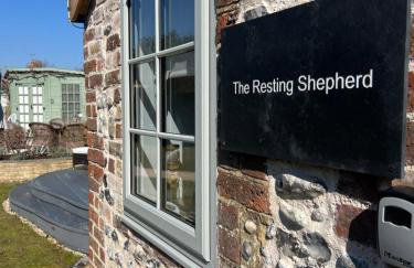 The Resting Shepherd - Foto 2