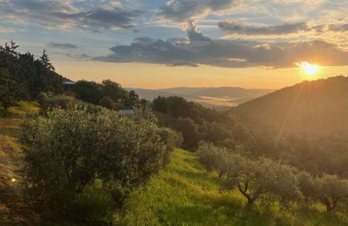 Poggio Ferrone - Foto 42