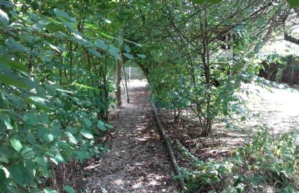 Le Clos du Presbytère - Foto 23