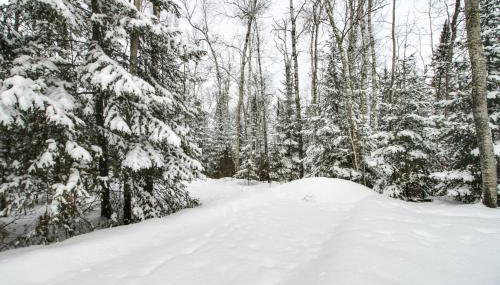 Ice Fish on South Fork Lake From Nashwauk Studio - Foto 3