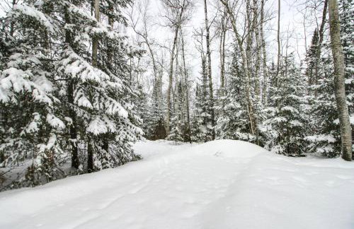 Ice Fish on South Fork Lake From Nashwauk Studio - Foto 3
