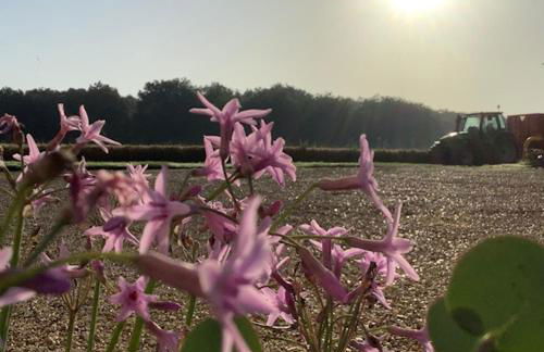 Gîte entre Loire et Campagne - Photo 20