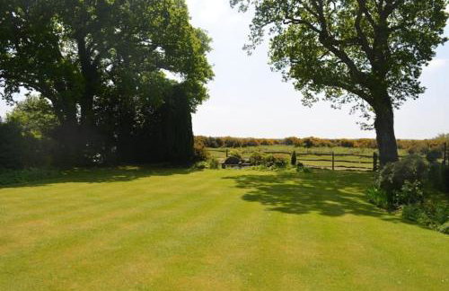 Holmans NEW FOREST - Photo 33