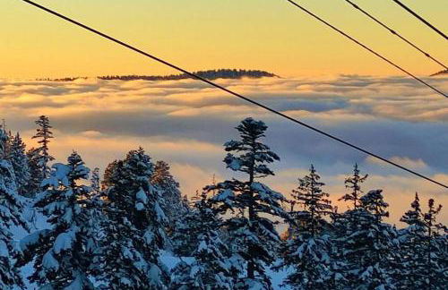 appartement de détente dans le Vercors 4-6 max - Foto 24