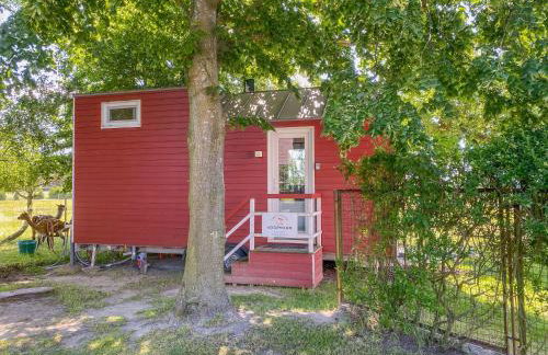 Tiny House auf der Alpaka Farm - Foto 9