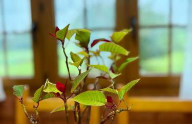 Chalet con zona de asador en Quijas - Foto 7