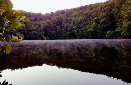 Ferienhaus am Badesee Schönsee Bungalow 12 - Foto 27
