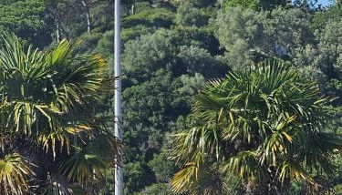 Sunflower Castle View in Óbidos - Photo 2