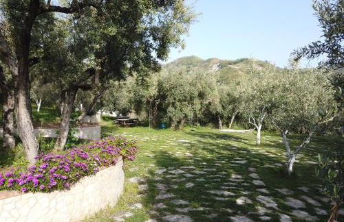 Il Mandorlo - Foto 14