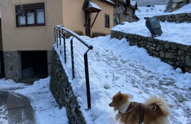 Casa Aranesa - Photo 61