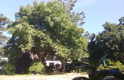 Ferienhäuschen - Foto 31