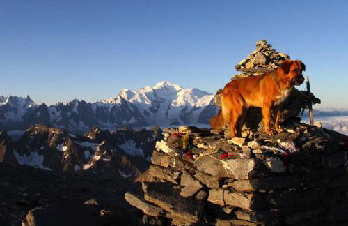 Apartment Chinook,La Praz,Chamonix Mont Blanc - Photo 60