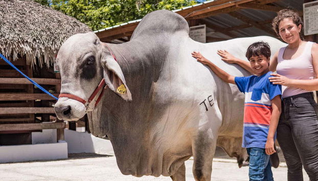 Caresser les animaux de Punta Cana