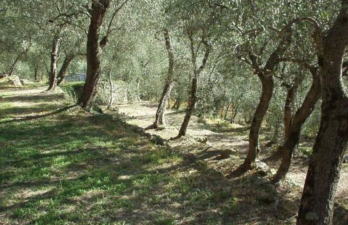 Country House With Big Garden - Photo 23